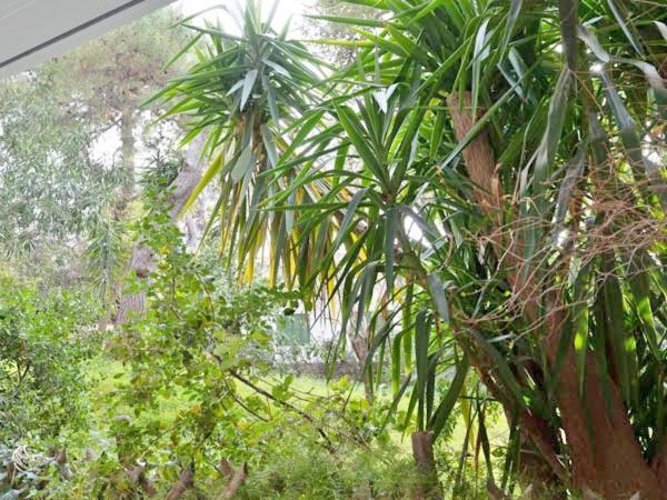 Apartament Vouliagmeni'S Secret Garden Near The Sea Ateny Zewnętrze zdjęcie