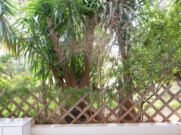 Apartament Vouliagmeni'S Secret Garden Near The Sea Ateny Zewnętrze zdjęcie